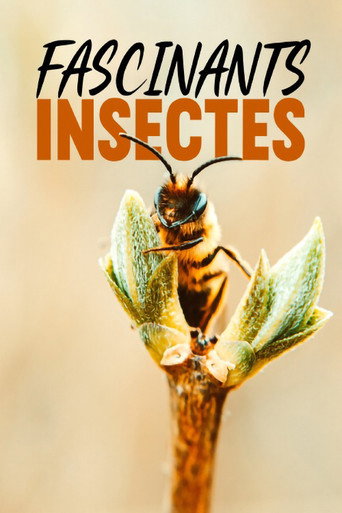 Series poster for Fascinants insectes (2017)