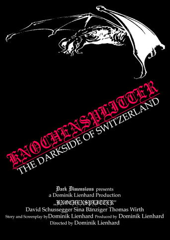 Movie poster for Knochensplitter - The Dark Side of Switzerland (2004)