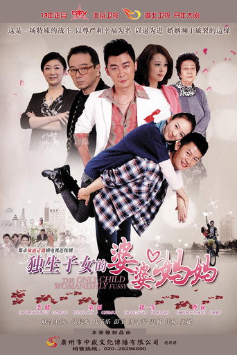 独生子女的婆婆妈妈 poster
