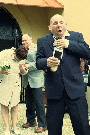 Movie poster for Wedding (2015)