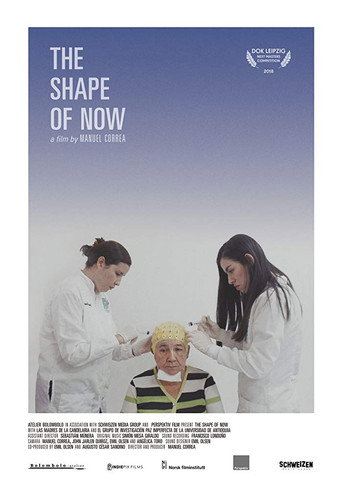Movie poster for The Shape of Now (2018)