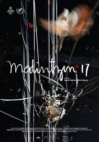 Movie poster for Malintzin 17 (2022)