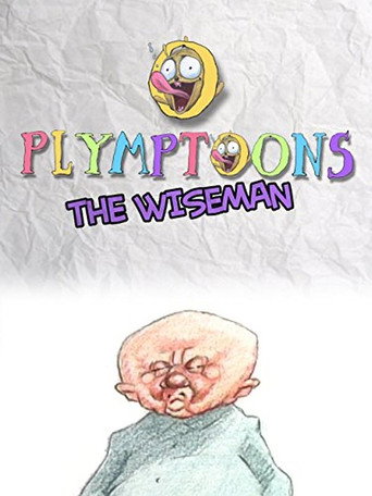 Movie poster for The Wiseman (1991)