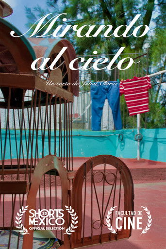 Mirando al Cielo poster