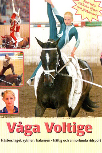 Movie poster for Våga voltige (2009)