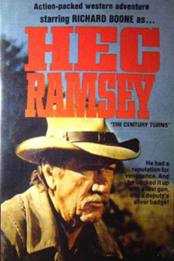 The Century Turns poster