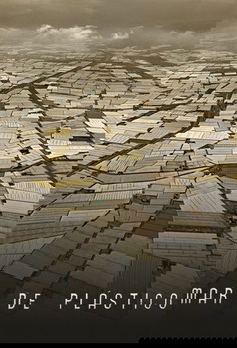 Mar de plástico poster