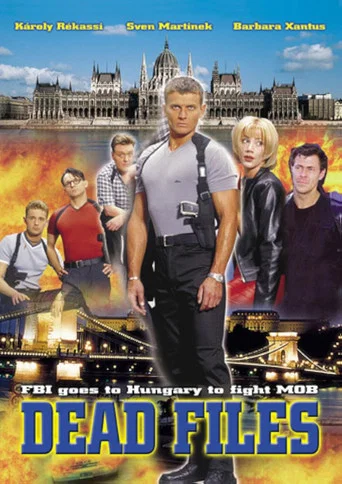 Series poster for Rendőrsztori (2002)