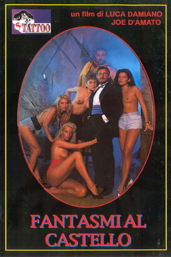 Movie poster for Ghosts in the Castle (1994)