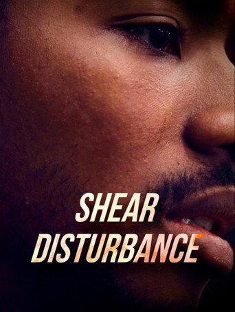 Movie poster for Shear Disturbance (2023)