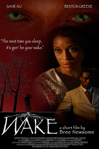 Movie poster for Wake (2010)