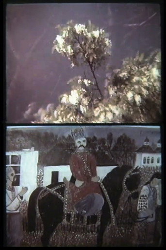 Movie poster for Mykhailo Sikorsky's Eushan Potion (1986)
