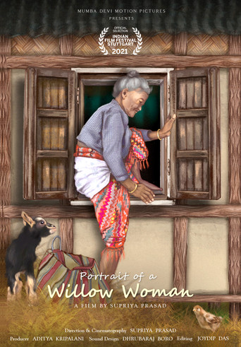 Movie poster for PORTRAIT OF A WILLOW WOMAN (2024)