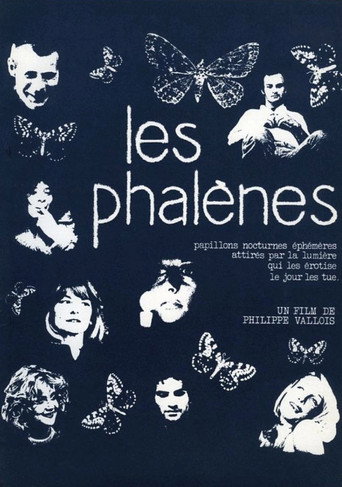 Les phalènes poster