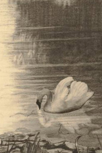 Movie poster for The Ugly Duckling (1928)