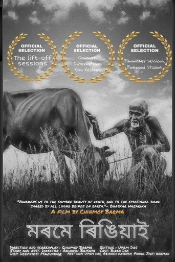 Movie poster for Morome Ringiyaai (2019)