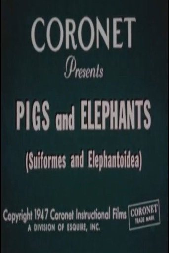 Movie poster for Pigs and Elephants (Suiformes and Elephantoidea) (1947)