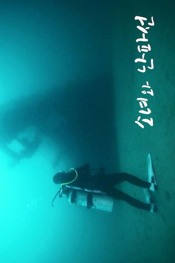 Movie poster for A Girl and a Shipwreck (2017)