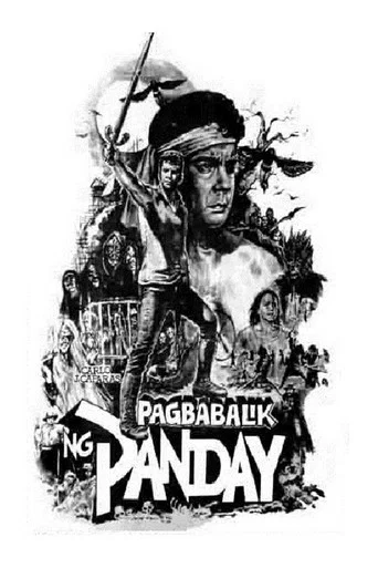 Movie poster for Pagbabalik ng Panday (1981)