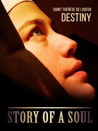 Movie poster for Story of a Soul