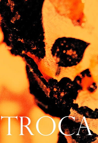 Movie poster for Troca (2020)
