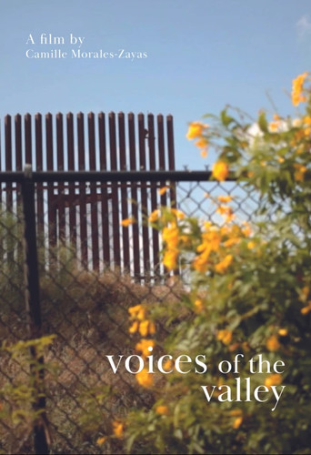 Movie poster for Voices of the Valley (2021)