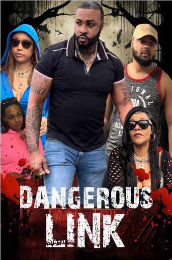 Movie poster for Dangerous Link (2024)