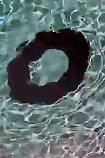 Movie poster for Donut (2006)