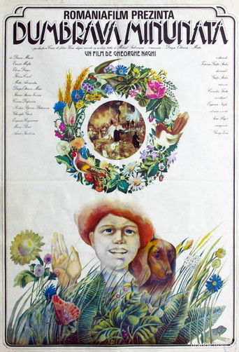 The Enchanted Grove poster