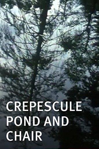 Movie poster for Crepescule Pond and Chair (2001)