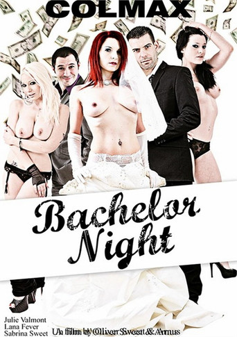 Movie poster for Bachelor Night (2013)