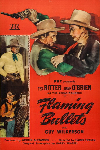 Flaming Bullets poster