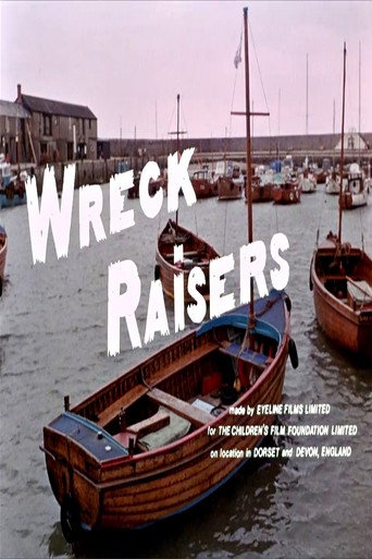 Movie poster for Wreck Raisers (1972)