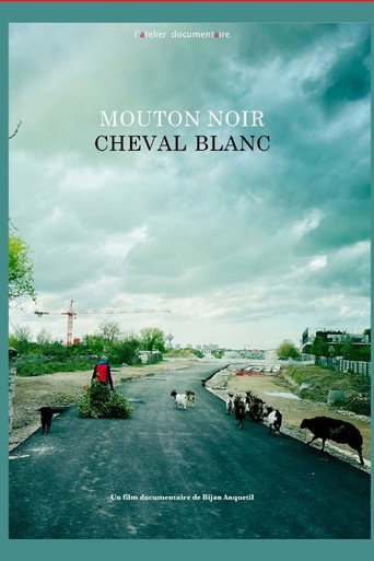 Movie poster for Mouton noir, cheval blanc
