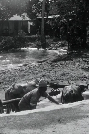Movie poster for Guadeloupe, le pays des Belles-Eaux (1928)