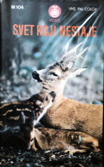 Movie poster for The Vanishing World (1987)
