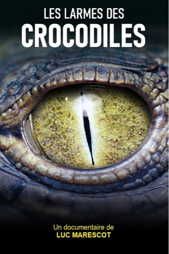 Movie poster for Les larmes des crocodiles (2012)