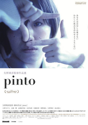 Pinto poster