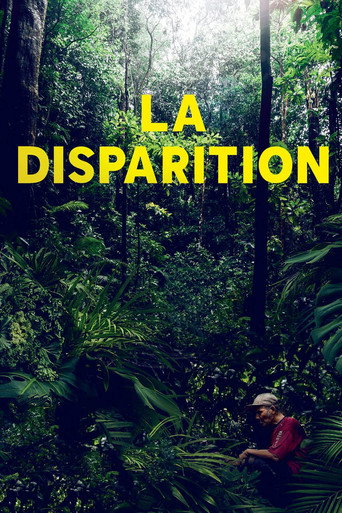 Movie poster for The Disappearance (2021)