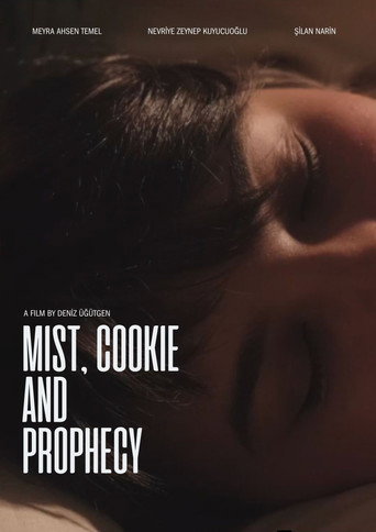 Movie poster for Mist, Cookie and Prophecy