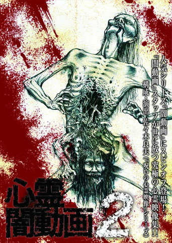 Movie poster for Psychic Darkness Video 2 (2014)