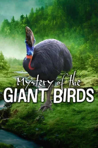Movie poster for Mystery of the Giant Birds (2025)
