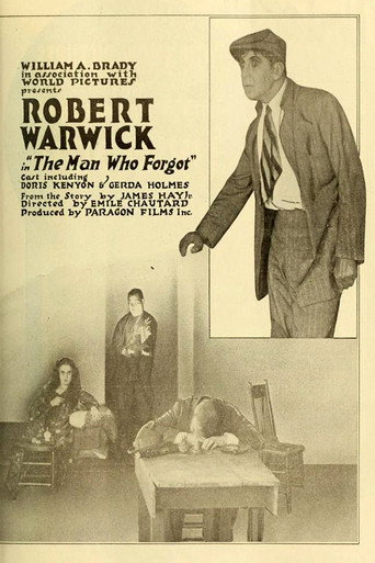 Movie poster for The Man Who Forgot (1917)