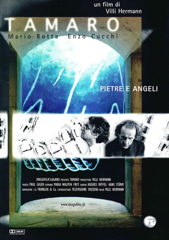 Movie poster for TAMARO. Stones and Angels. Mario Botta Enzo Cucchi (1998)