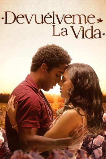 Series poster for Love of My Life (2024)