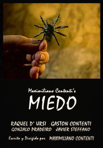 Movie poster for Fear (2001)