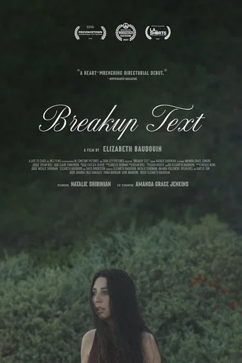 Movie poster for Breakup Text (2023)
