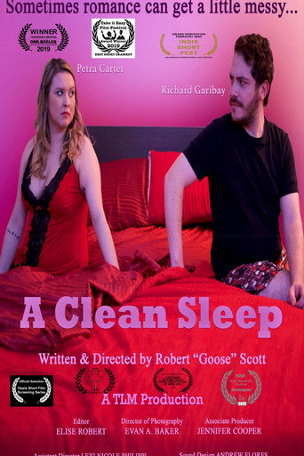 Movie poster for A Clean Sleep (2017)