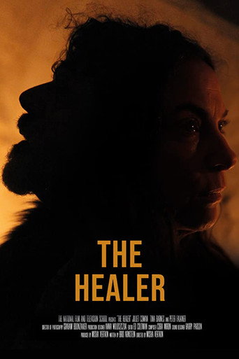Movie poster for The Healer (2019)