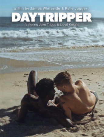 Movie poster for Daytripper (2023)